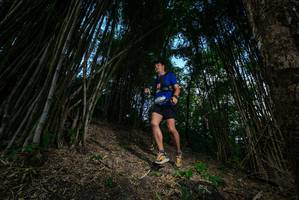 BIB: 
                            <button type="button" onclick="openModal(19395450)" class="btn btn-primary btn-sm float-right btn-popup" data-toggle="modal" data-target=".modal-high-quality">
                        <i class="fas fa-shopping-cart"></i> Add to Cart
                    </button>
                                            <button type="button" onclick="isThisMe(19395450, true)" class="btn btn-success btn-sm float-right btn-popup btn-isme hidden" data-toggle="tooltip" data-placement="bottom" title="นี่คือรูปของคุณใช่ไหม คลิกที่นี่เพื่อเอาเข้าอัลบั้ม">
                        <i class="fas fa-plus"></i> Add to album
                    </button>
                    <button type="button" onclick="isThisMe(19395450, false)" class="btn btn-warning btn-sm float-right btn-popup btn-isnotme hidden">
                        <i class="fas fa-ban"></i> Remove from album
                    </button>